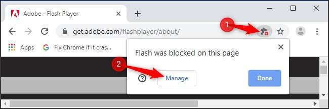 adobe flash download for chrome download